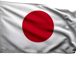 Let me know if you'd like a shorter version or one focused on specific elements like just the Japanese flag