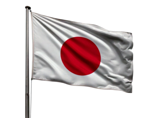 Let me know if you'd like a shorter version or one focused on specific elements like just the Japanese flag