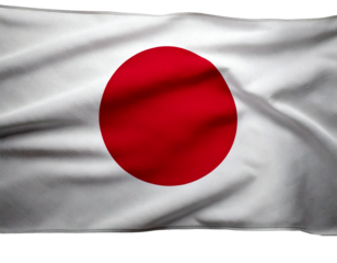 Let me know if you'd like a shorter version or one focused on specific elements like just the Japanese flag