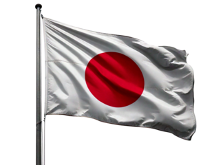 Let me know if you'd like a shorter version or one focused on specific elements like just the Japanese flag