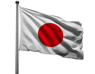 Let me know if you'd like a shorter version or one focused on specific elements like just the Japanese flag
