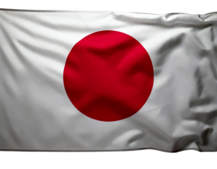 Let me know if you'd like a shorter version or one focused on specific elements like just the Japanese flag
