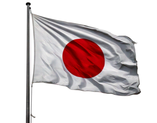 Let me know if you'd like a shorter version or one focused on specific elements like just the Japanese flag