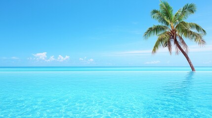 Serene Tropical Paradise with Crystal Clear Water and Coconut Palm