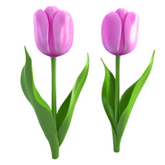 Spring Tulip Flowers 3D Render &ndash; Isolated on Transparent Background for Floral