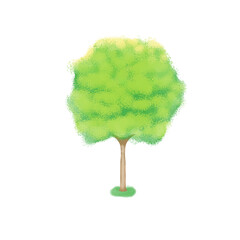 green tree on white background