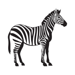 Fototapeta premium Zebra minimalist silhouette design vector art