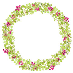 Vignette Yellow-greeen leaved Eucalyptus and its blooming