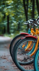 Fototapeta premium National Bike Week Colorful bicycles lined up in a serene forest setting