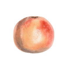 Grapefruit in isolated watercolor illustration. Whole fruit for juice packaging design, poster printing, clothing, shop window decoration.