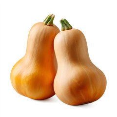 Two whole fresh butternut squashes with smooth matte skin natural beige-orange color standing upright side by side isolated on transparent background. isolated white background