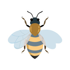 Bee: The Diligent Pollinators of Nature