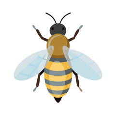 Bee: The Diligent Pollinators of Nature