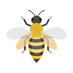 Bee: The Diligent Pollinators of Nature