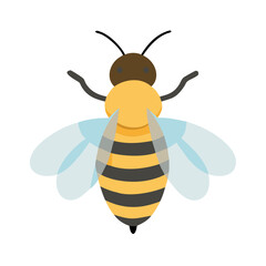 Bee: The Diligent Pollinators of Nature