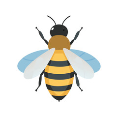 Bee: The Diligent Pollinators of Nature