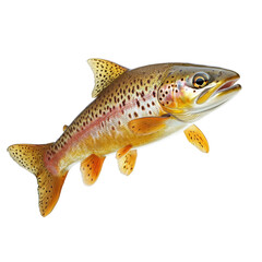 Fototapeta premium Trout swimming in clear water showcasing vibrant colors and distinct markings during a sunny afternoon in a freshwater lake