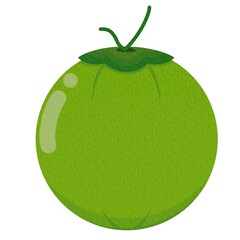 Green Coconut. Coconut logo design. Coconut vector. Coconut on white background.