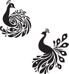 Fototapeta premium peacock silhouette - vector image of peacock- Peafowl - unique peacock - animal silhouette 