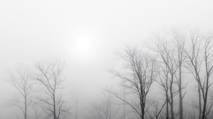 Misty Winter Landscape: Bare Trees in Fog