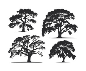 Cottonwood Tree Silhouette EPS Vector Template