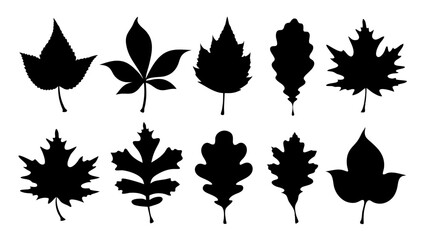 set of various types of leaves silhouette vector on white background