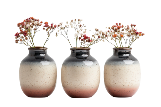 Three elegant ceramic vases filled with delicate dried flowers showcasing a beautiful ombre effect from dark gray to light beige and a soft on transparent background