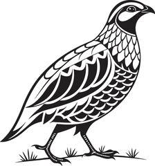 Obraz premium Chukar Partridge bird silhouette vector Illustration