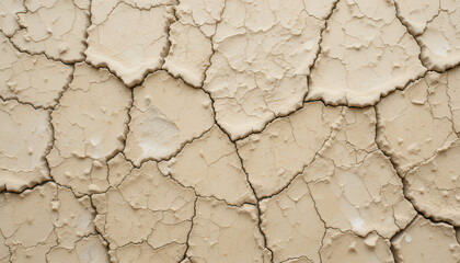 Fototapeta premium Cracked surface of dry earth showcasing texture and patterns.