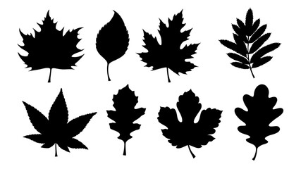 set of various types of leaves silhouette vector on white background