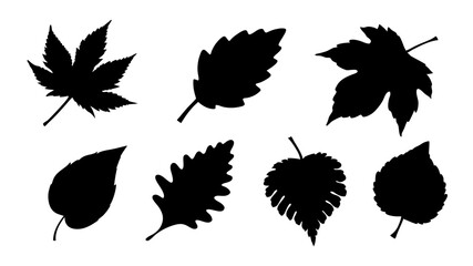 Fototapeta premium set of various types of leaves silhouette vector on white background