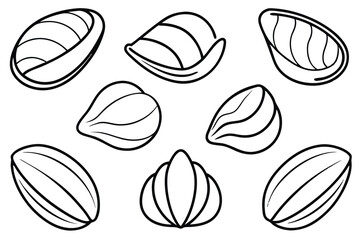 mussels line art elegant ocean food line drawing