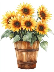 Obraz premium Sunflowers blooming in wooden basket watercolor painting