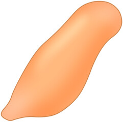 개불 (spoon worm / fat innkeeper worm)