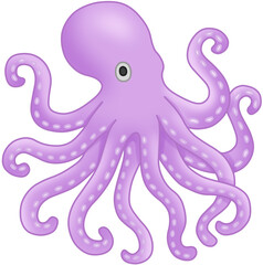 문어 (octopus)
