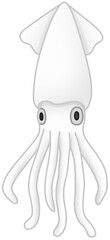 한치 (spear squid / summer squid)