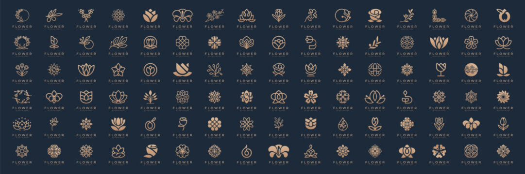 Minimalist flower ornament logo and icon set. Beauty flower logo design collection. Luxury spa, boutique, fashion and feminine concept.