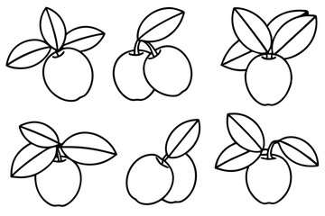 natal plum line art hand-drawn nature inspired design