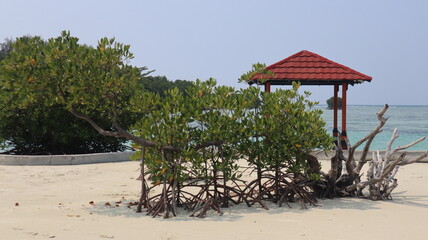 the atmosphere of the white sand beach in the Thousand Islands tourist area of ​​Jakarta, Indonesia. Calm and cool for traveling.
