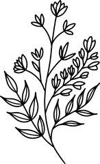 Branch in engraving style isolated on white background. Design element for decoration. Vector illustration