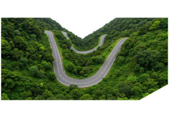 Winding Forest Road isolated on transparent background