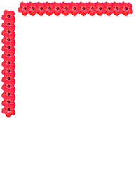Isolated Red Hibiscus Flower on Transparent Background
Hibiscus, jaba flower Red Hibiscus Flower PNG, Isolated Bloom on Transparent Background, Tropical Floral