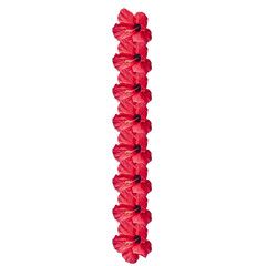 Isolated Red Hibiscus Flower on Transparent Background
Hibiscus, jaba flower Red Hibiscus Flower PNG, Isolated Bloom on Transparent Background, Tropical Floral