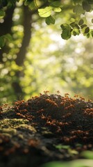 A close-up of a zebra's face, showing the intricate black-and-white stripe pattern