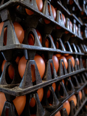 Pile stacks of brown eggs in trays from an agricultural egg farm factory. For wholesale market.