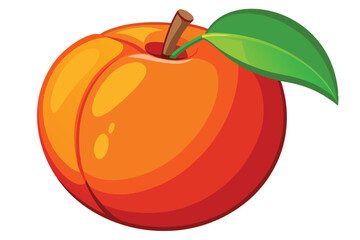 peach healthy fruit vector on white