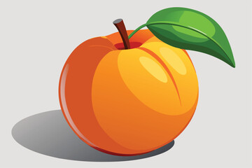 peach healthy fruit vector on white