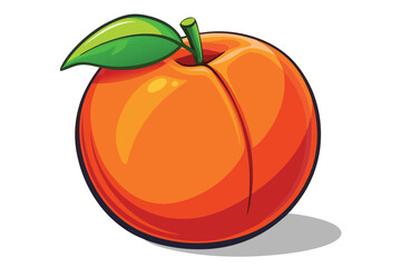 peach healthy fruit vector on white