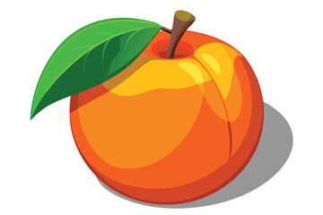 peach healthy fruit vector on white