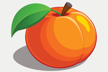peach healthy fruit vector on white